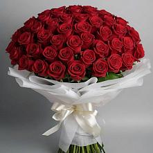 Букет 101 Красная роза Блэк Мэджик в Листвянке