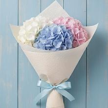 Букет цветов из:  Гортензия в Листвянке