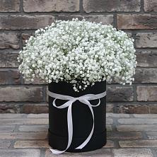 Цветочная композиция из Гипсофила в шляпной коробке в Листвянке