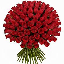 Букет Красные розы Чери Лав в Листвянке