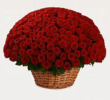 Премиум букет из: Розы в Листвянке